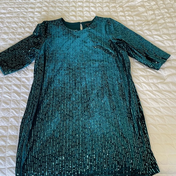 Lane Bryant  Teal Sequin velvet Dress - Picture 4 of 10